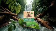 Rainforest Rapids - Gentle Mist
