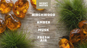 Birchwood Breeze Deodorant - Body Care