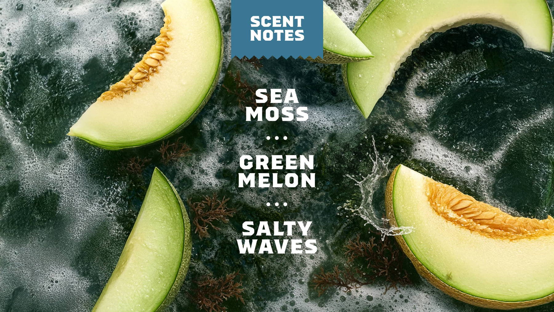 Coastal Mist - Classic Notes