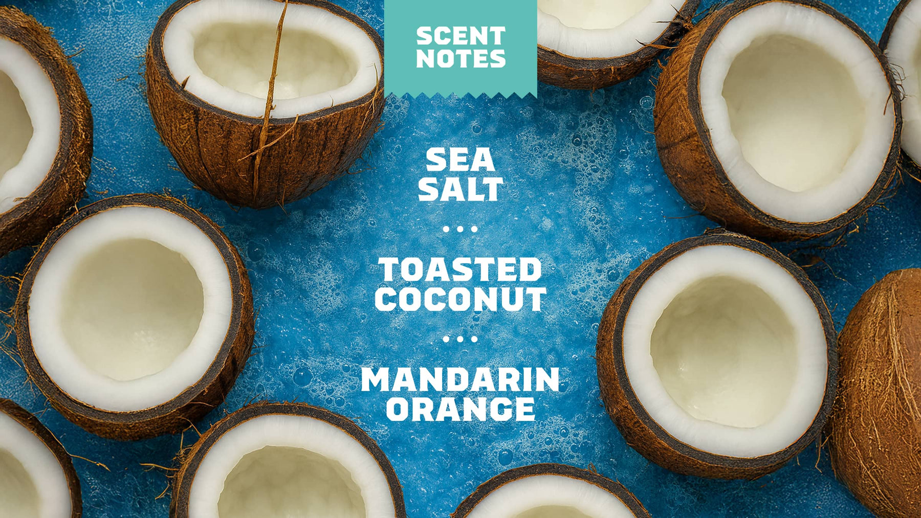 Coconut Castaway Conditioner - Daily Scent