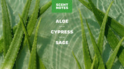 Cool Fresh Aloe Conditioner - Warm Blend
