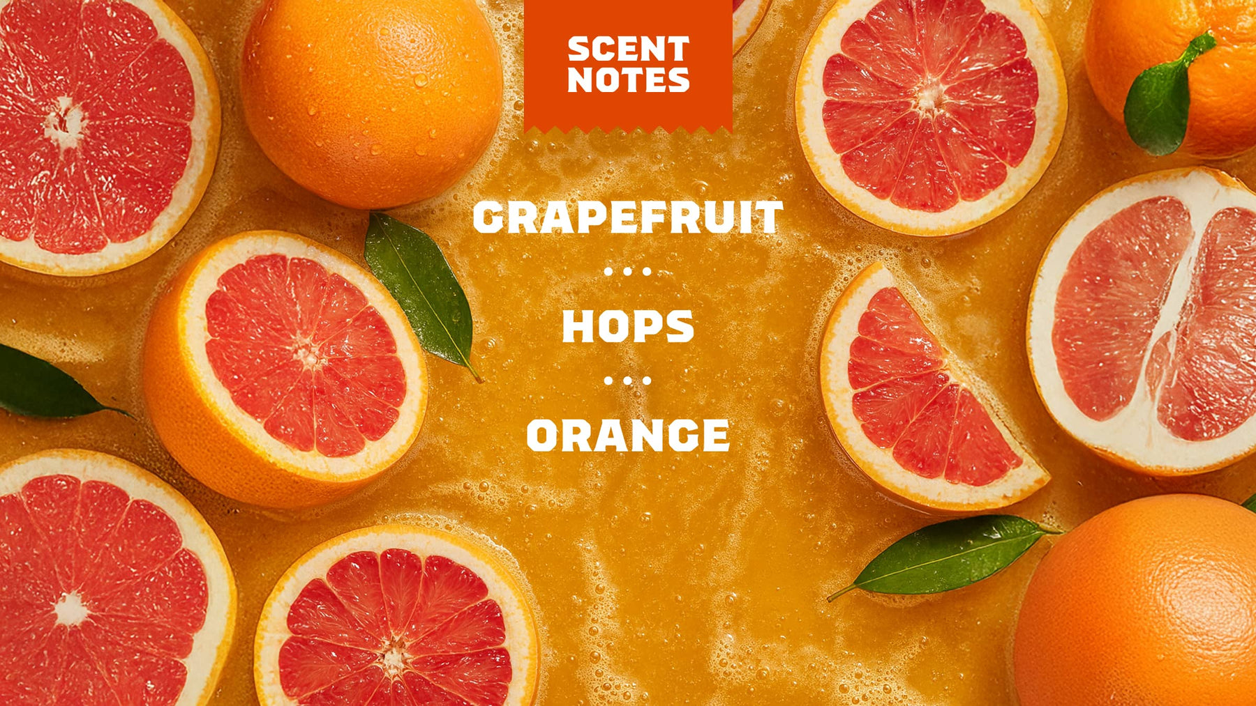 Grapefruit IPA - Active Fresh