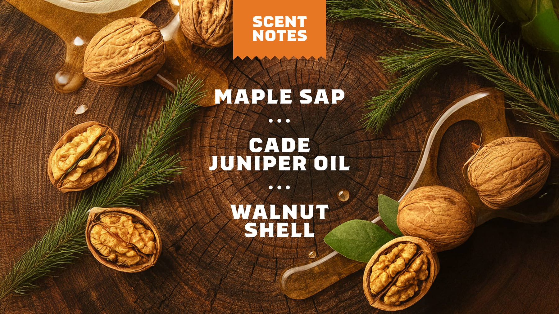 14 oz Lumberjack Lodge Body Wash - Fresh Routine