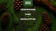 Pine Tar Spray Deodorant - Modern Blend