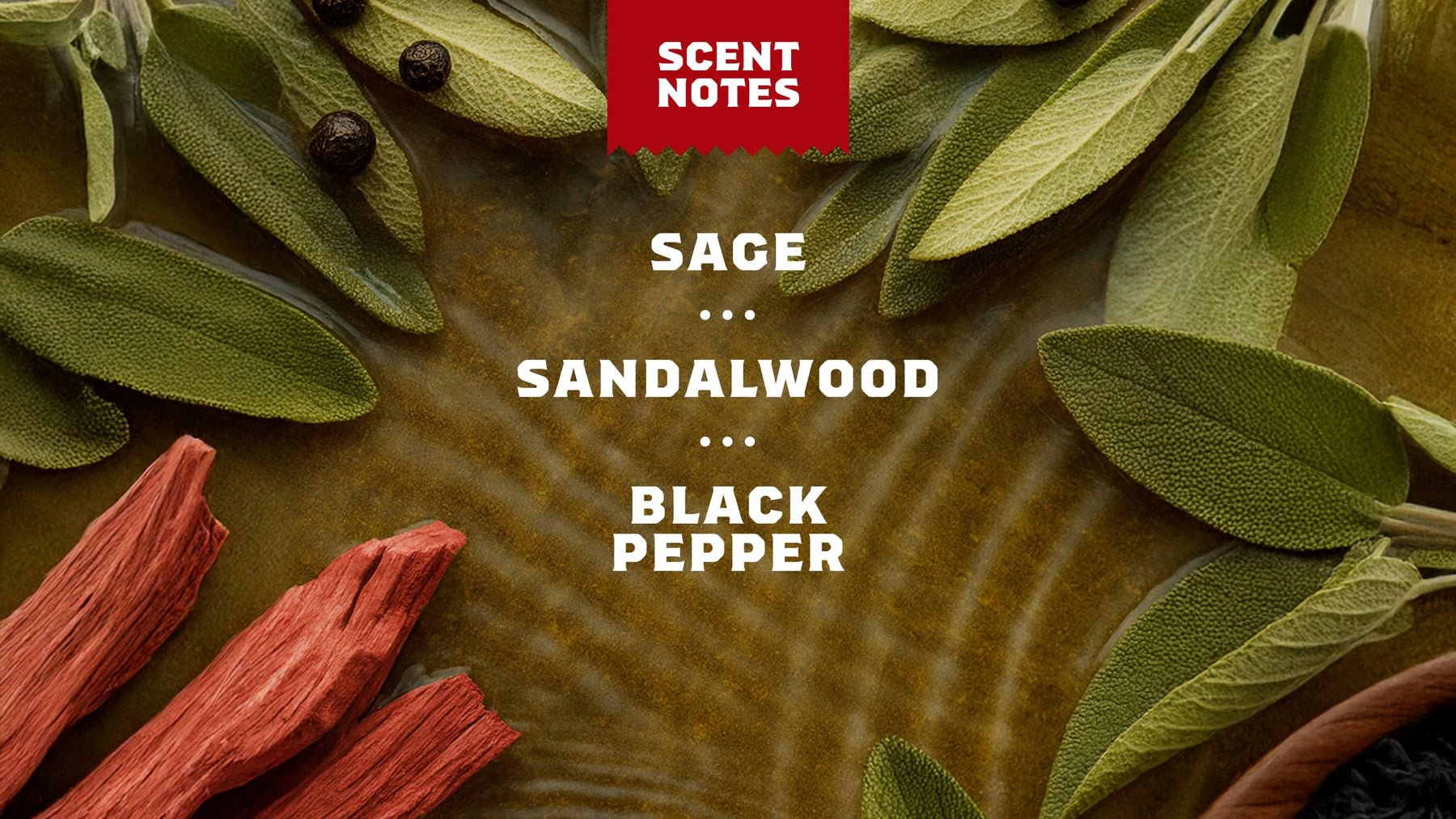 14 oz Sandalwood Summit Body Wash - Daily Scent