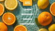 Summer Citrus - Active Fresh