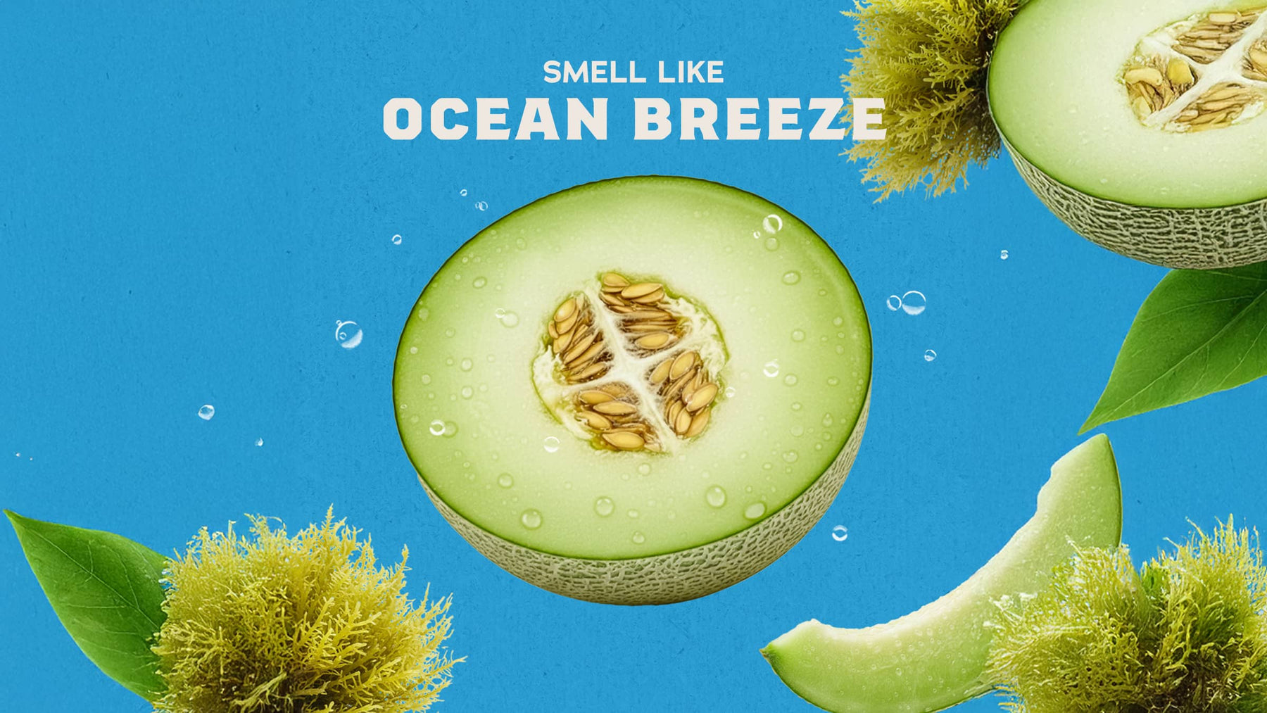 14 oz Coastal Mist Body Wash - Fresh Notes