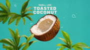 Coconut Castaway - Soft Glow