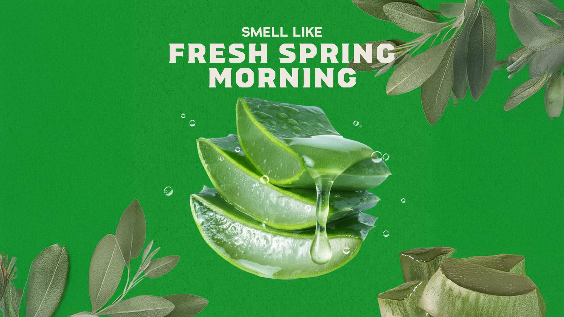 Cool Fresh Aloe Conditioner - Warm Blend