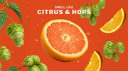 Grapefruit IPA - Active Fresh