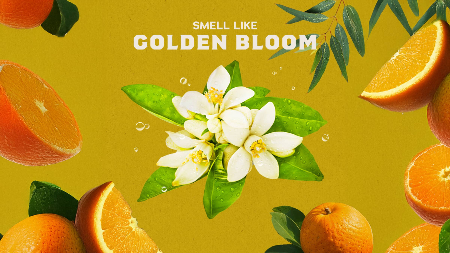 Mountain Meadow Deodorant - Daily Comfort