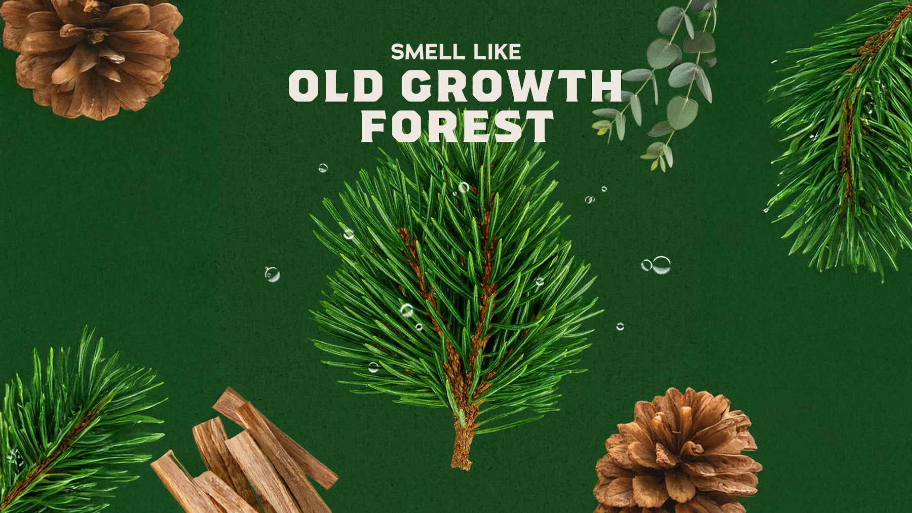 Pine Tar Conditioner - Soft Glow