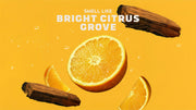 14 oz Summer Citrus Body Wash - Bright Scent